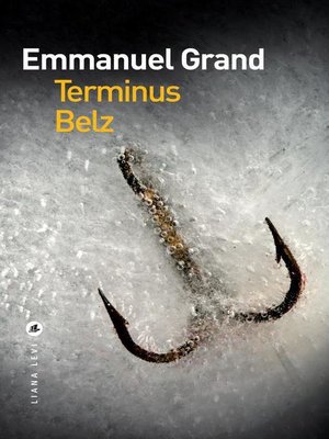 cover image of Terminus Belz